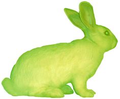 a white rabbit with green eyes sitting down