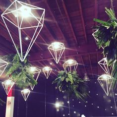 some plants hanging from the ceiling in a room with lights on it and other decorations