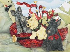 three scottish terrier dogs sitting on a blanket with red bows and ribbons around their necks