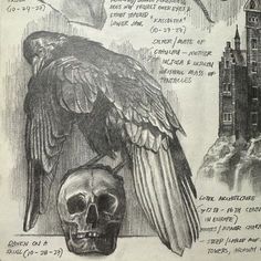 a drawing of a bird sitting on top of a skull next to a clock tower