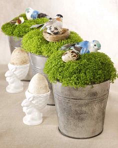 three buckets filled with moss and birds sitting on top of each other next to eggs