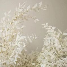 some white flowers in a vase on a table