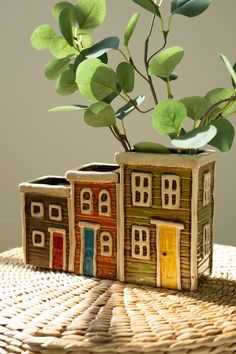 a potted plant in the shape of a house