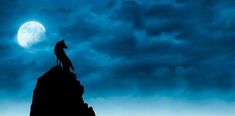 a wolf standing on top of a mountain under a full moon