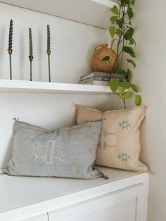 two decorative pillows on a white shelf next to a plant and vase with green leaves