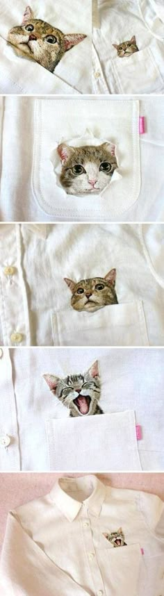 three pictures of cats peeking out of the pocket of a white shirt with pink tags on it