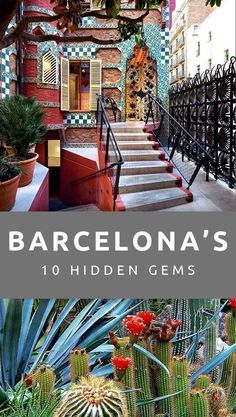 barcelona's 10 - hidden gems, including cacti and succulents