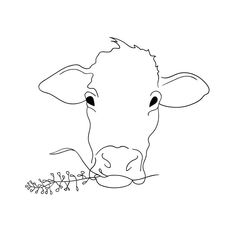 a black and white drawing of a cow