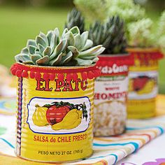 three tin cans with plants in them sitting on a table