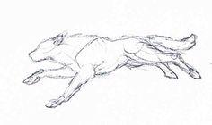 a drawing of a dog jumping in the air