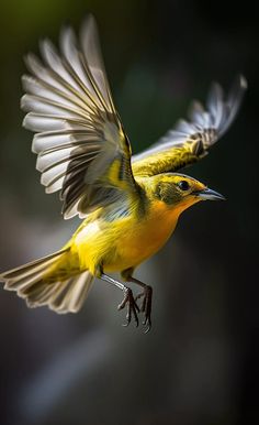 a small yellow bird flying through the air