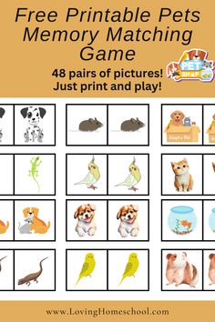 the printable pet memory matching game for kids with pictures of dogs, cats and birds