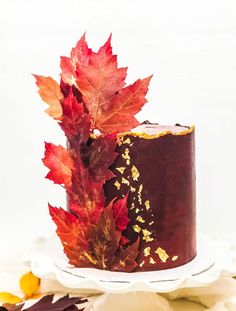 a chocolate cake with leaves on top and gold flakes around the edges, sitting on a white plate