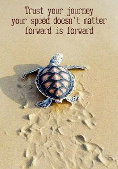 a turtle is on the sand with a quote written in it's center that says, trust your journey your speed doesn't matter forward is forward