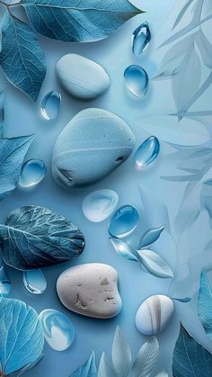 some blue leaves and rocks with water drops