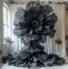 a large black flower sitting on top of a white floor next to a tall window