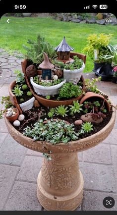 a potted planter filled with lots of plants