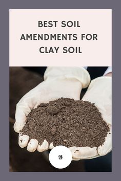 a person holding soil in their hands with the words best soil amenments for clay soil