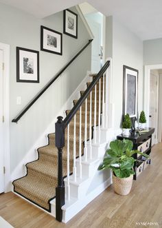 there is a potted plant on the floor next to stairs with pictures above it