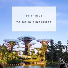 the gardens with text overlay that reads, 20 things to do in singapore