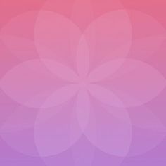 a pink and purple background with an abstract flower design