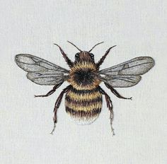 a brown and black bee sitting on top of a white surface