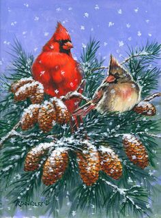 two birds sitting on top of a pine tree covered in snow next to some cones