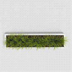 green grass is placed on the edge of a white box with black trimmings