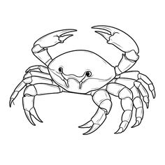 a crab that is drawn in black and white with the outlines on it's back