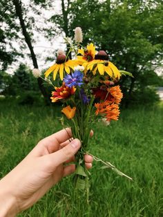 a person holding flowers in their hand on the grass near some trees and bushes,