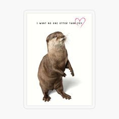 an otter sticker with the words i want no one otter thinks