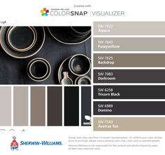 the color scheme for colorsnap visualizer is shown in black, gray and white