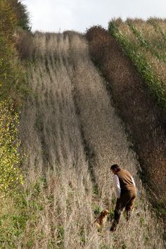 a man is walking his dog down a hill with tall grass and weeds on it