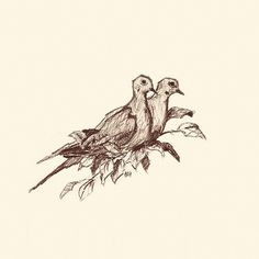 two birds sitting on top of a tree branch