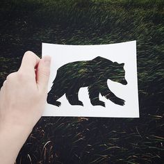 someone is holding up a bear cutout in the grass with their hand on it