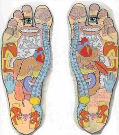 Punkty Spustowe, Healing Reflexology, Human Muscle Anatomy