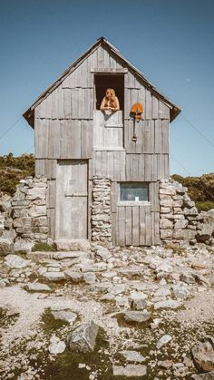 a dog is sticking its head out the window of a small wooden building on top of a rocky hill