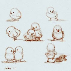 several drawings of small birds sitting on the ground