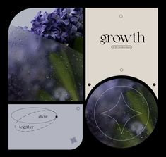 an image of flowers with the words growth on them and in front of it are three different images