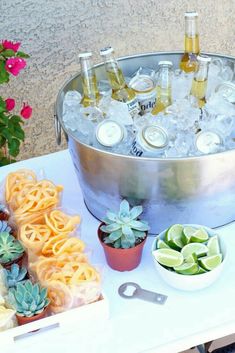 an ice bucket filled with lots of bottles of beer next to some succulents