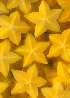 yellow star shaped flowers with green leaves in the background royalty images and clippings