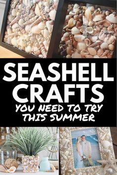 seashell crafts you need to try this summer