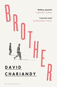 a book cover for brother by david charandy, with two people walking in the background