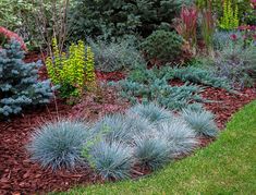 a garden filled with lots of different types of plants