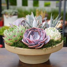 a wooden bowl filled with succulents on top of a table