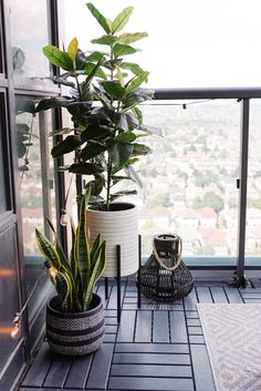 two potted plants sitting on top of a balcony