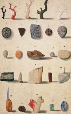 an old book with many different types of rocks