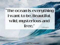 the ocean is everything i want to be beautiful wild mysterious and free