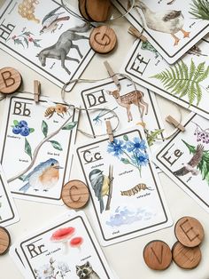 Nature Alphabet Flashcards - Chickadees Wooden Toys School Handwriting, Nature Alphabet, The Alphabet Letters, Abc Cards, Alphabet Kindergarten, 5x7 Cards, Alphabet Cards, Alphabet Flashcards, Chickadees