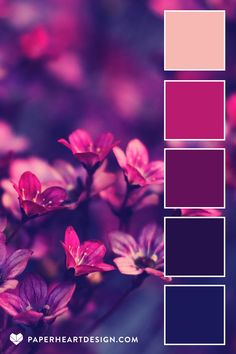 purple and pink color palette with text overlay